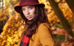 狗狗配人怎么配电视